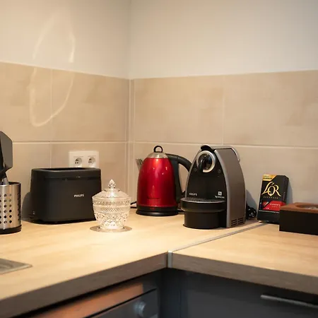 Le Passementier, T2 Duplex Grand Volume Parking Souterrain Wifi Netflix Saint-Etienne (Loire)